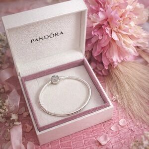 Authentic Pandora Sterling Silver Snake Chain Charm Bracelet w/ Box